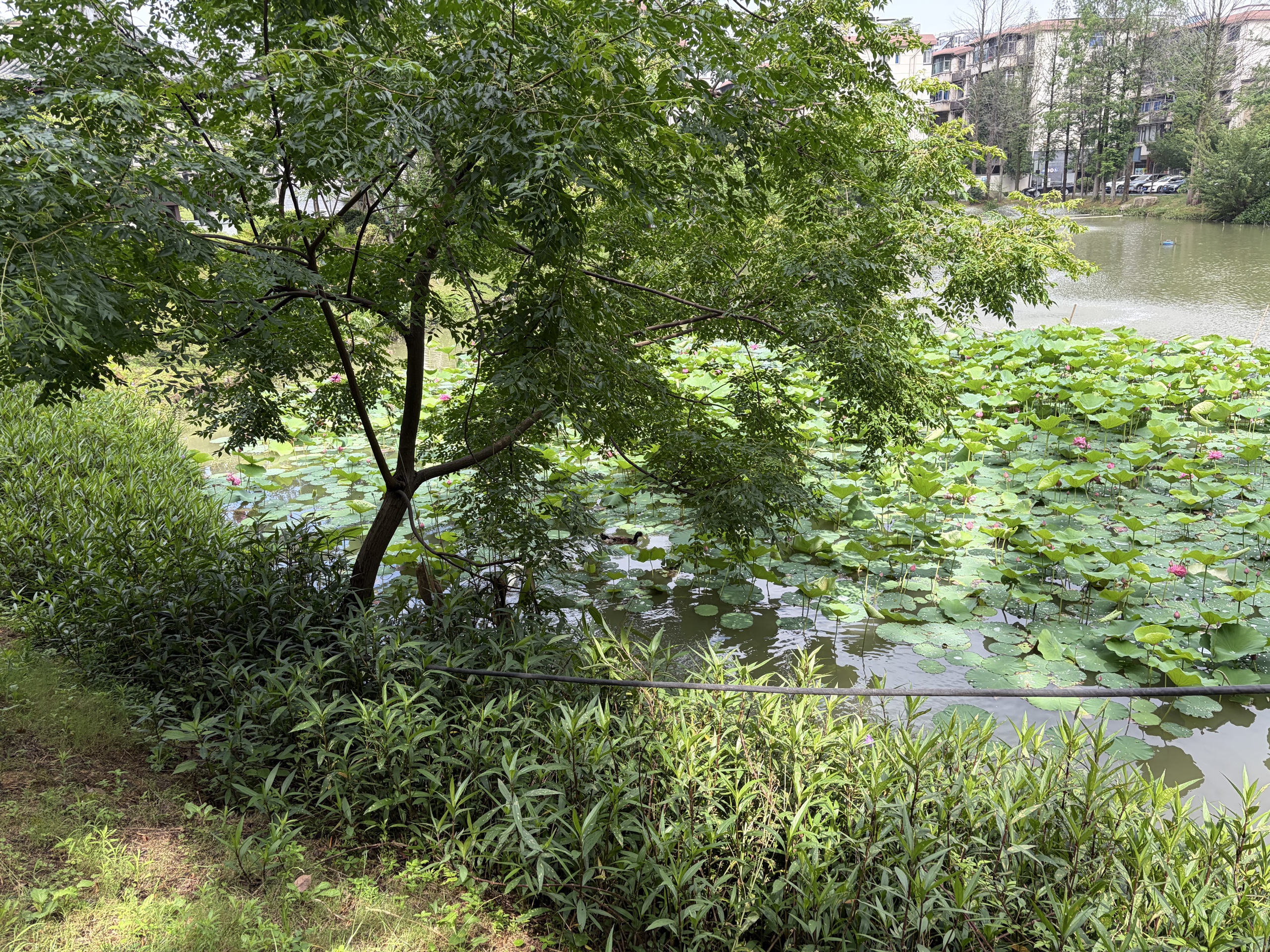 公开时光图片