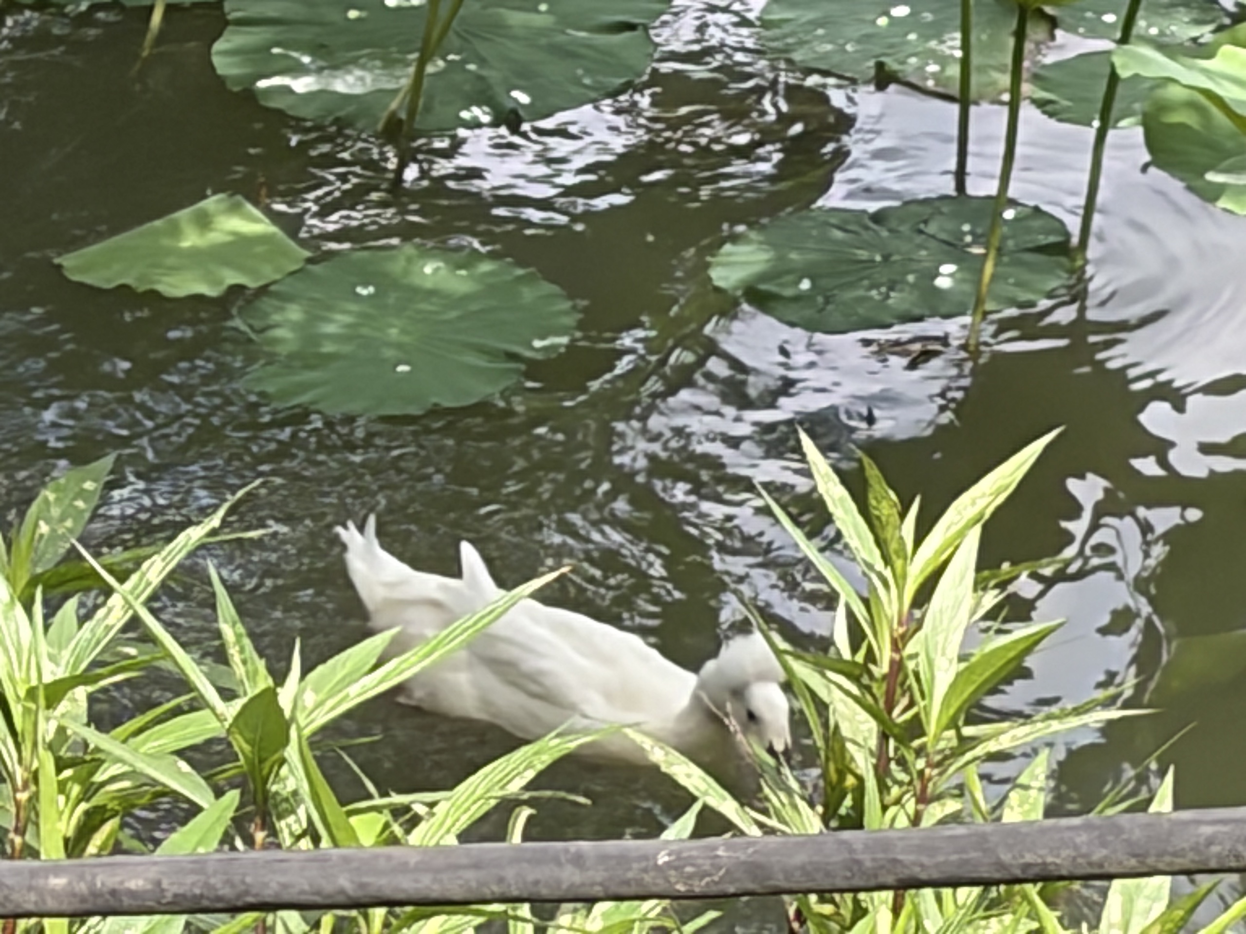 公开时光图片