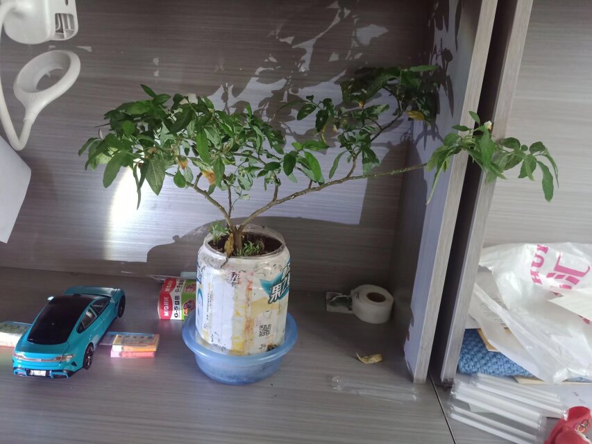 公开时光图片
