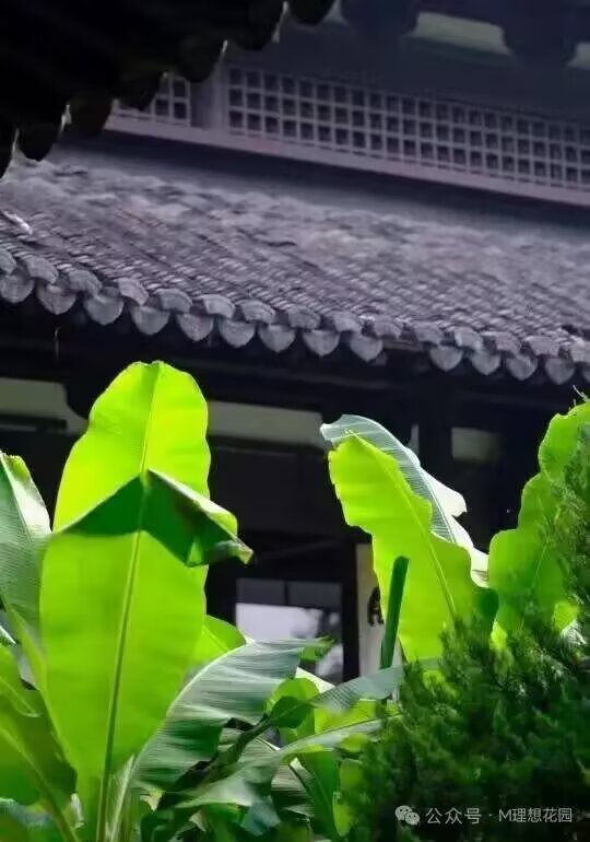 公开时光图片