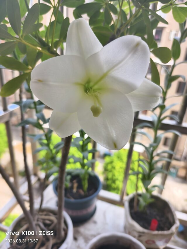 公开时光图片