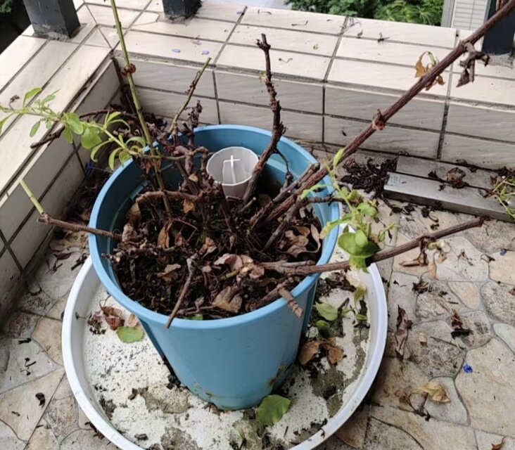 公开时光图片