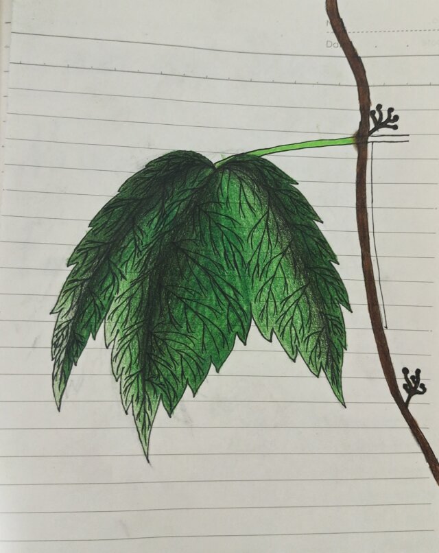 公开时光图片