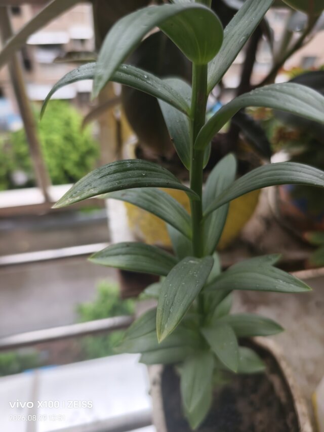 公开时光图片