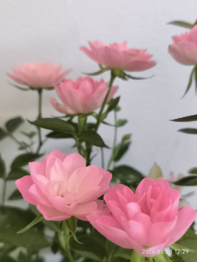 公开时光图片