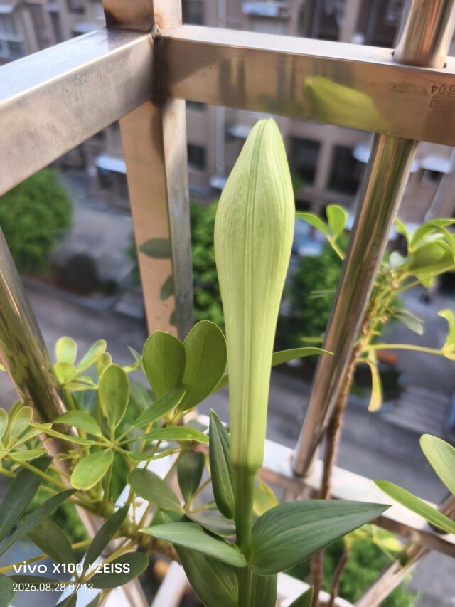 公开时光图片
